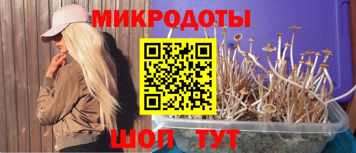 купить наркотик  Галлюциногенные грибы Magic Shrooms  Вход с VPN  Ялуторовск 