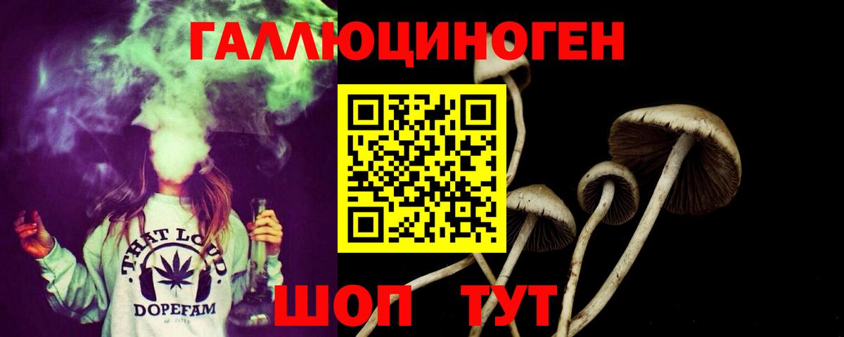 Псилоцибиновые грибы Magic Shrooms Ялуторовск